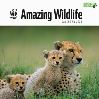 Calendrier 2023 Animaux Sauvage étonnant - WWF