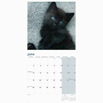 Calendrier 2023 chats noirs