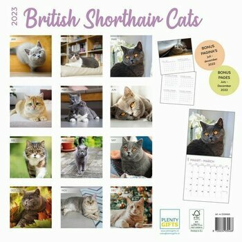 Calendrier 2023 British shorthair Calendrier 2023 British shorthair