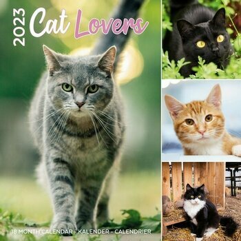 Calendrier 2023 Amoureux des chats