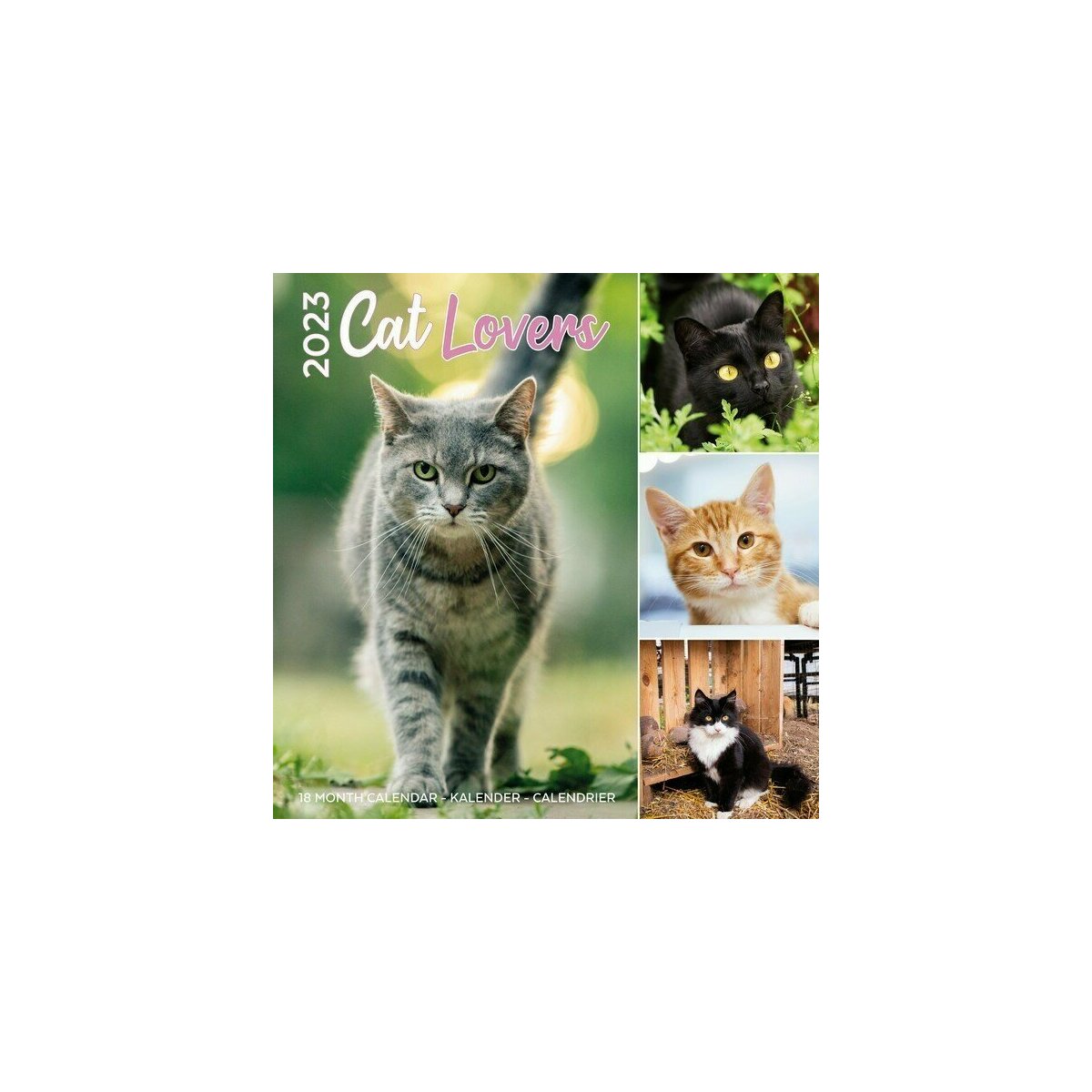 calendrier 2023 chat amoureux