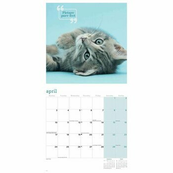 Calendrier 2023 Chatons mignon Calendrier 2023 Chatons mignon