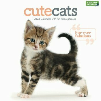 Calendrier 2023 Chatons mignon Calendrier 2023 Chatons mignon