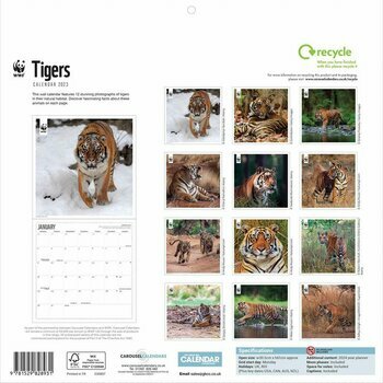 Calendrier 2023 Tigre National Geographic