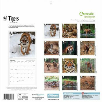 Calendrier 2023 Tigre National Geographic Calendrier 2023 Tigre National Geographic