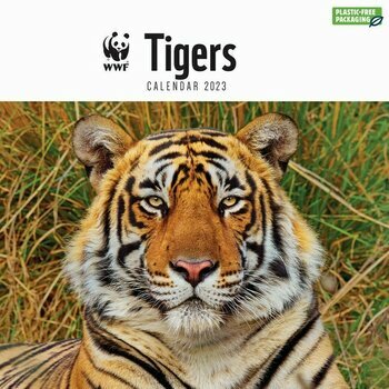 Calendrier 2023 Tigre National Geographic Calendrier 2023 Tigre National Geographic