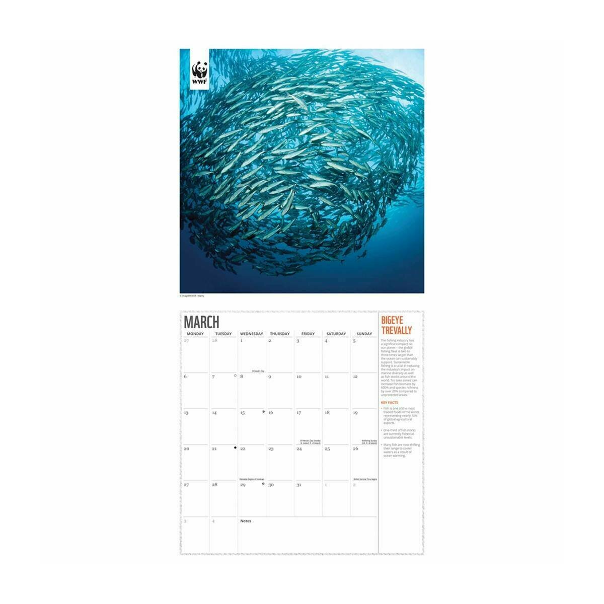 Calendrier 2023 National Geographic Ocean