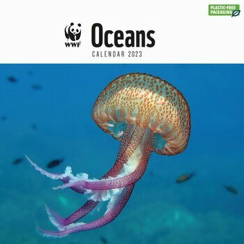 Calendrier 2023 National Geographic Ocean