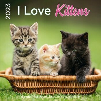 Calendrier 2023 J'aime les Chatons Calendrier 2023 J'aime les Chatons