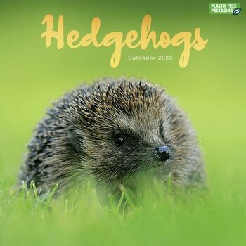 Calendrier 2023 Herisson