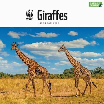 Calendrier 2023 Girafe National Geographic