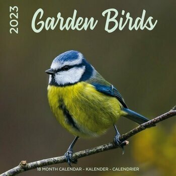 Calendrier 2023 Oiseaux du jardin