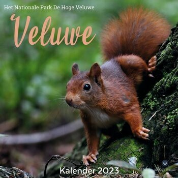 Calendrier 2023 Animaux de la forêt