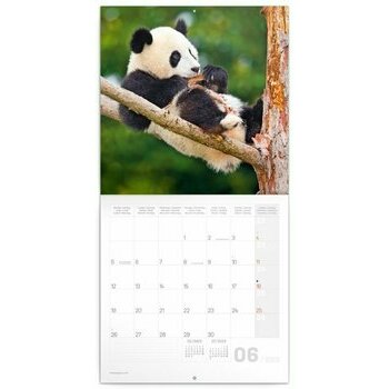 Calendrier 2023 Panda Calendrier 2023 Panda