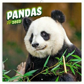 Calendrier 2023 Panda Calendrier 2023 Panda