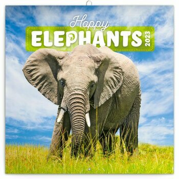 Calendrier 2023 Elephant heureux Calendrier 2023 Elephant heureux