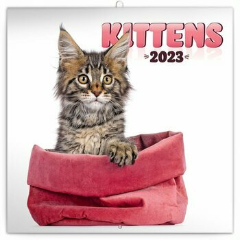 Calendrier 2023 Chaton heureux Calendrier 2023 Chaton heureux