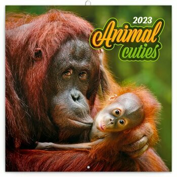 Calendrier 2023 Animaux cute