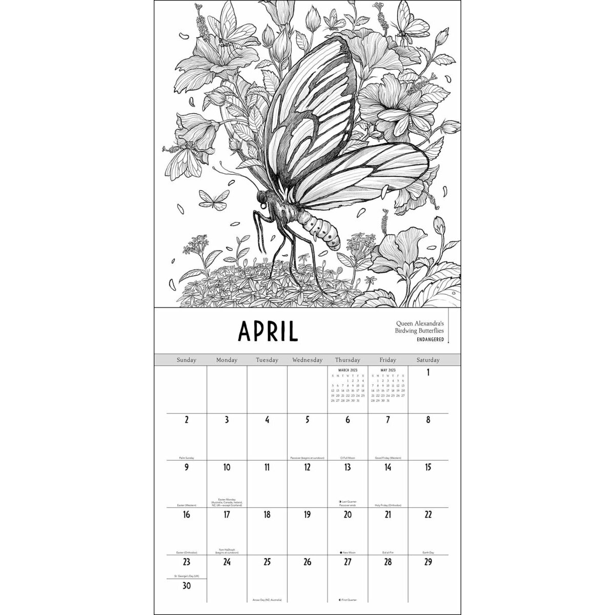 Calendrier 2023 à colorier Animaux et Nature