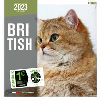 Calendrier 2023 British shorthair Calendrier 2023 British shorthair