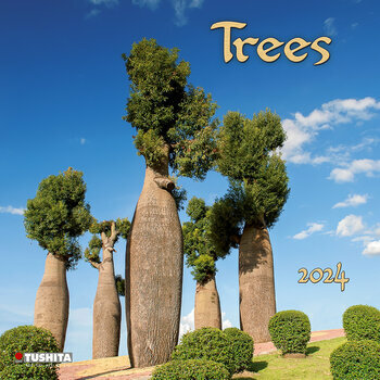 Calendrier 2024 Les plus beaux Arbres Calendrier 2024 Les plus beaux Arbres