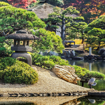 Calendrier 2024 Jardin Japonais