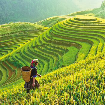 Calendrier 2024 Lao Tse les plus beaux paysages d'Asie