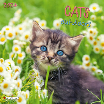 Calendrier 2024 Chat nature Calendrier 2024 Chat nature