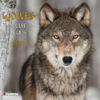 Calendrier 2024 Loup Calendrier 2024 Loup