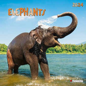 Calendrier 2024 Eléphants Calendrier 2024 Eléphants