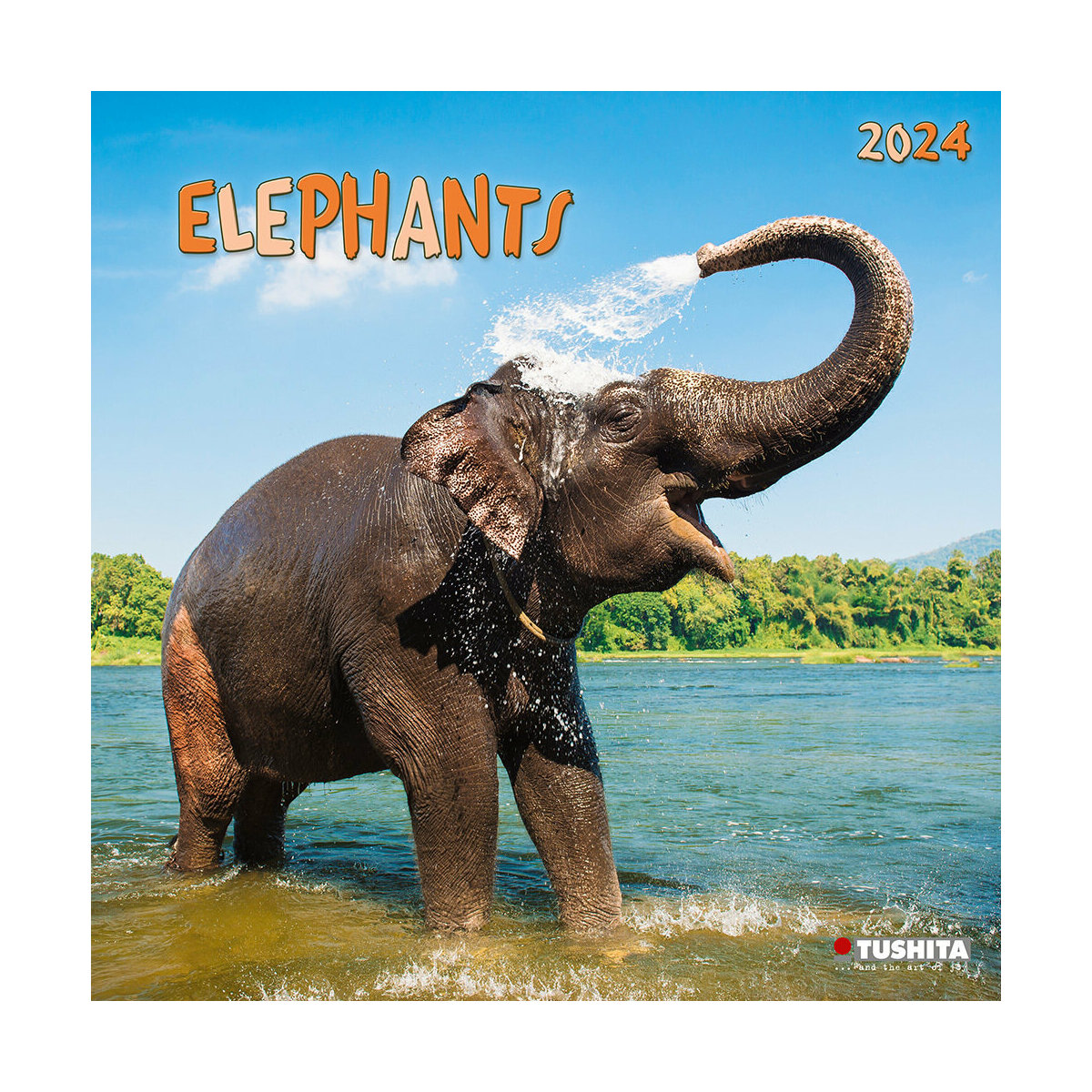 Calendrier 2024 éléphant