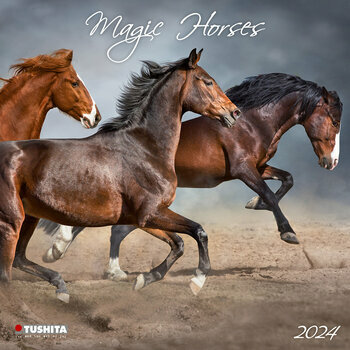 Calendrier 2024 Chevaux magiques Calendrier 2024 Chevaux magiques