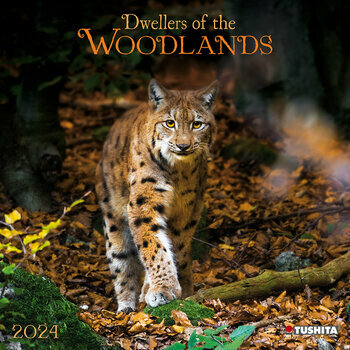 Calendrier 2024 Animaux de la forêt Calendrier 2024 Animaux de la forêt