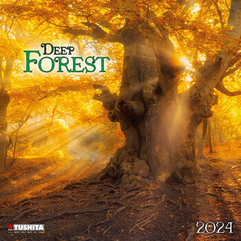 Calendrier 2024 La forêt Calendrier 2024 La forêt