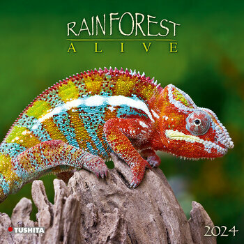 Calendrier 2024 Animaux forêt tropicale Calendrier 2024 Animaux forêt tropicale