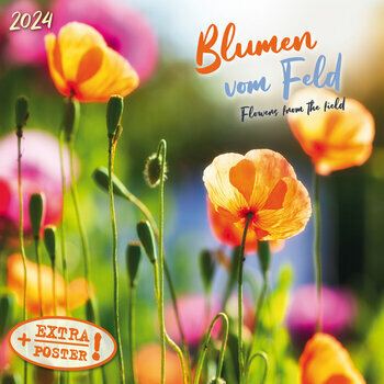 Calendrier 2024 Fleurs des champs AVEC POSTER OFFERT