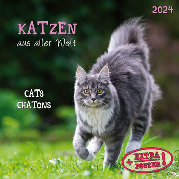 Calendrier 2024 Chats et chatons AVEC POSTER OFFERT Calendrier 2024 Chats et chatons AVEC POSTER OFFERT