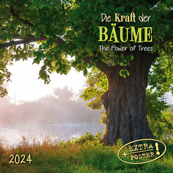 Calendrier 2024 Arbre AVEC POSTER OFFERT