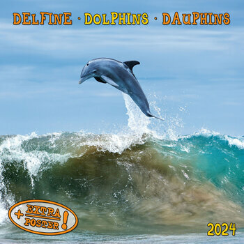 Calendrier 2024 Dauphin AVEC POSTER OFFERT Calendrier 2024 Dauphin AVEC POSTER OFFERT