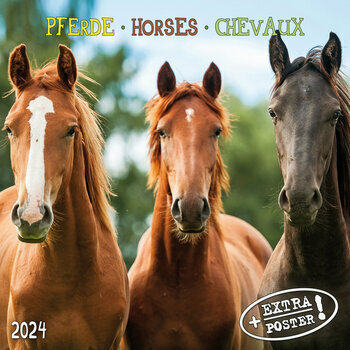 Calendrier 2024 Chevaux AVEC POSTER OFFERT