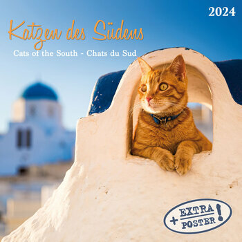 Calendrier 2024 Chat du sud AVEC POSTER OFFERT Calendrier 2024 Chat du sud AVEC POSTER OFFERT