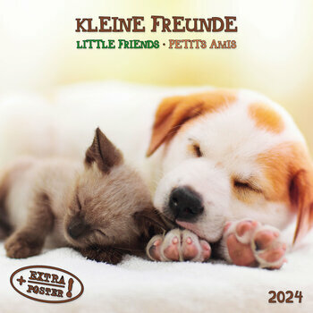Calendrier 2024 Animaux AVEC POSTER OFFERT Calendrier 2024 Animaux AVEC POSTER OFFERT