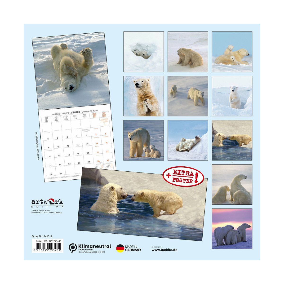 Calendrier 2024 Ours Polaire avec poster offert