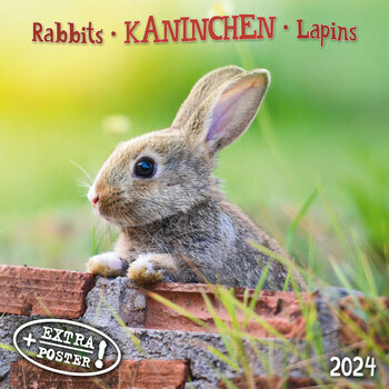 Calendrier 2024 Lapin avec poster offert Calendrier 2024 Lapin avec poster offert