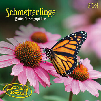 Calendrier 2024 Papillon AVEC POSTER OFFERT Calendrier 2024 Papillon AVEC POSTER OFFERT