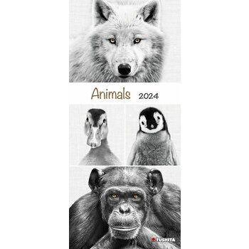 Calendrier 2024 Animaux Maxi slim