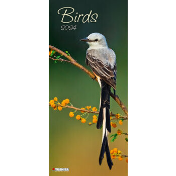 Calendrier 2024 Oiseaux du jardin Maxi slim