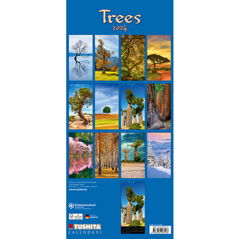 Calendrier 2024 Arbre Maxi slim