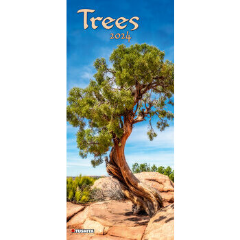 Calendrier 2024 Arbre Maxi slim Calendrier 2024 Arbre Maxi slim