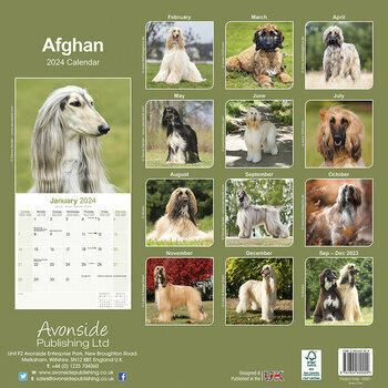 Calendrier 2024 Lévrier Afghan